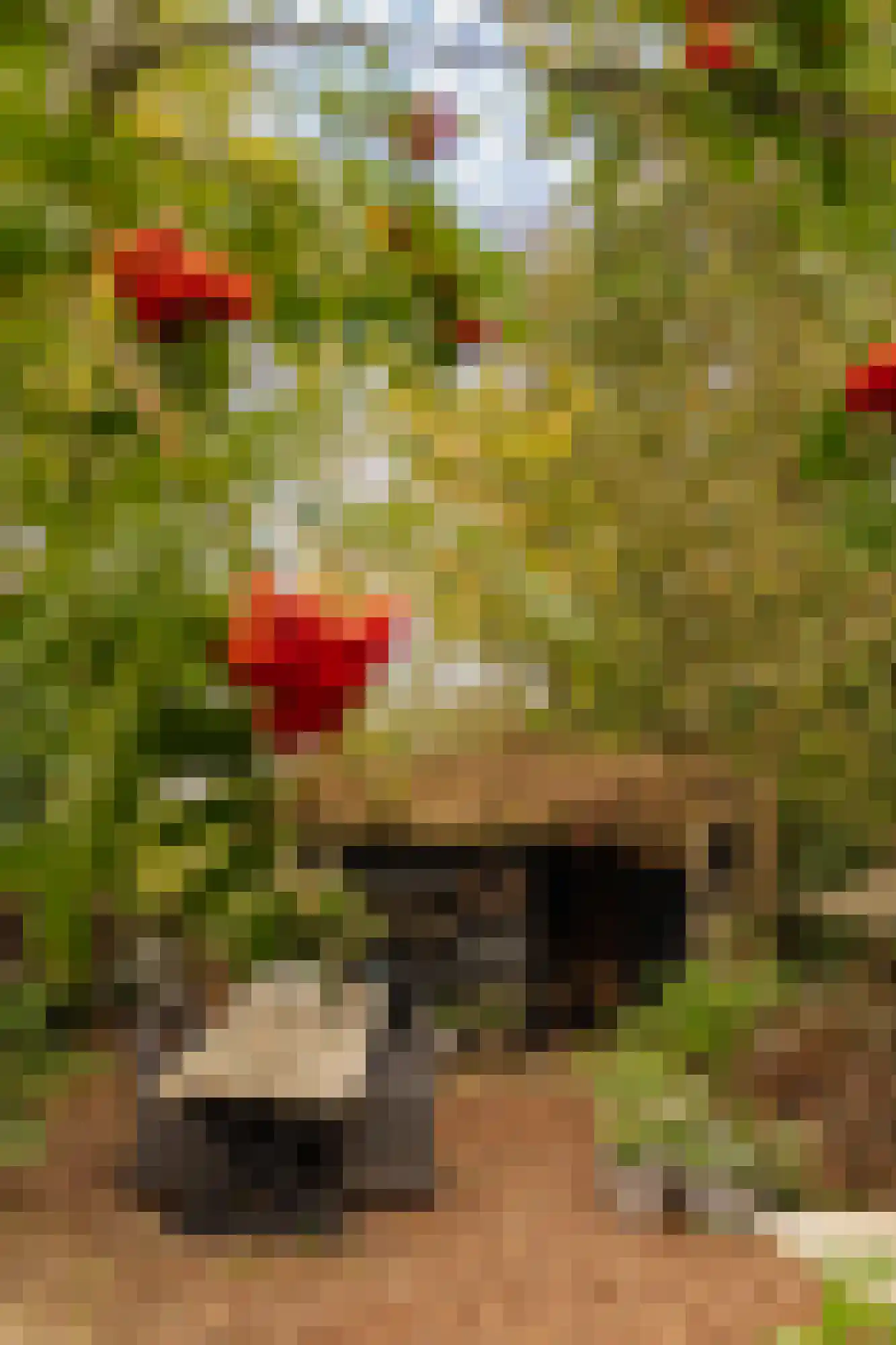 Uiterweg Aalsmeer thumbnail 13