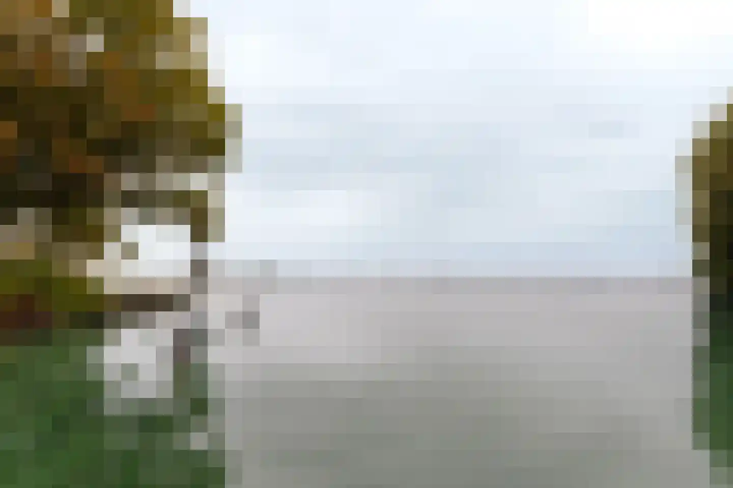 Uiterweg Aalsmeer thumbnail 15