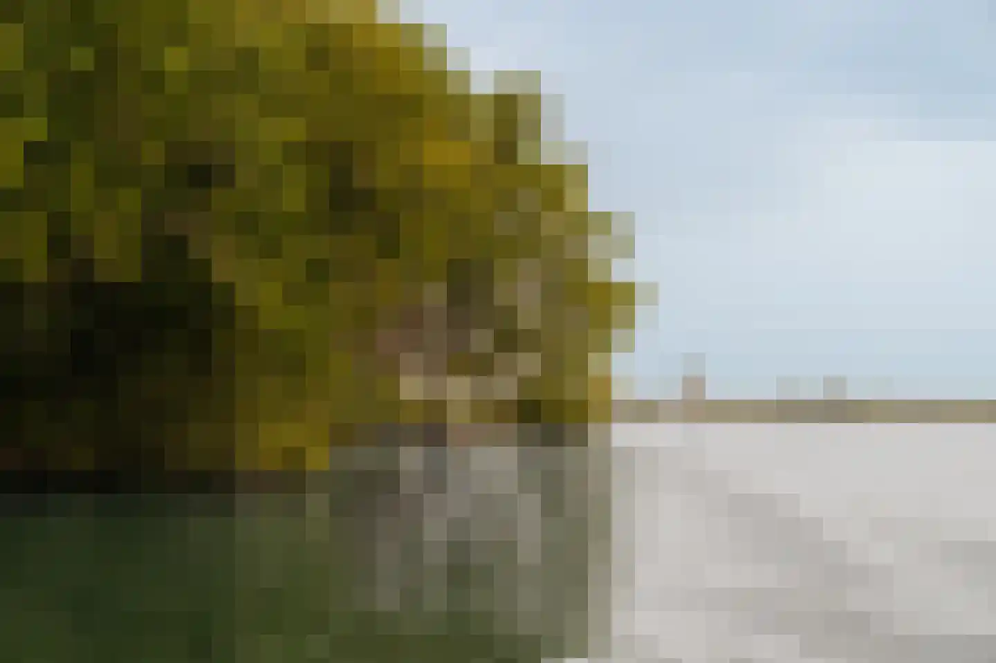 Uiterweg Aalsmeer thumbnail 17