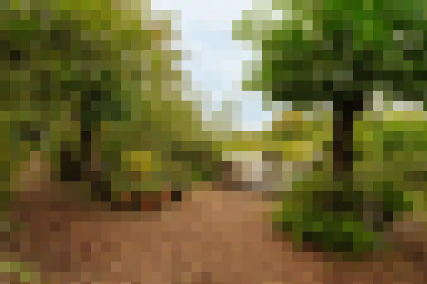 Uiterweg Aalsmeer thumbnail 4