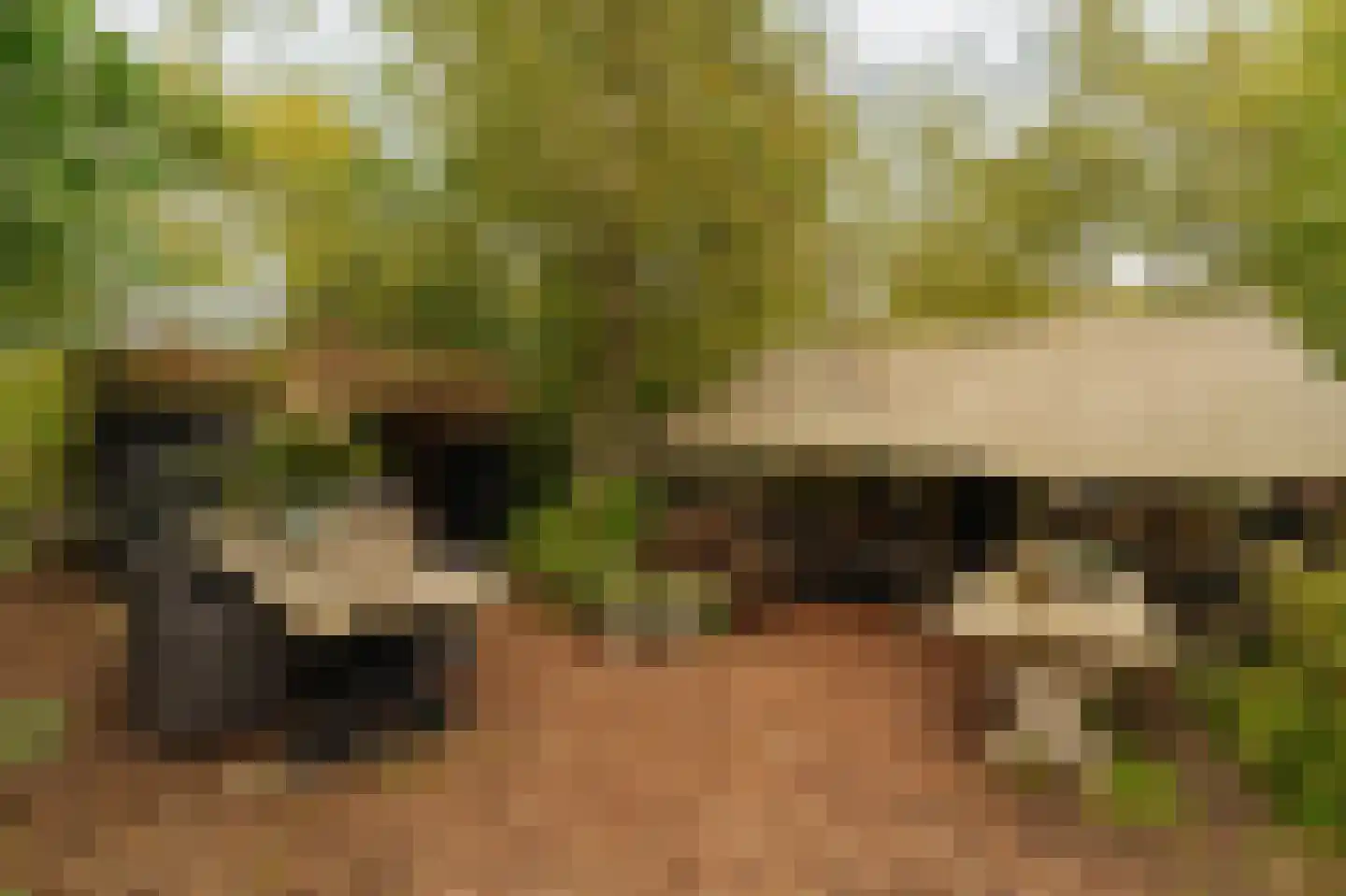 Uiterweg Aalsmeer thumbnail 6