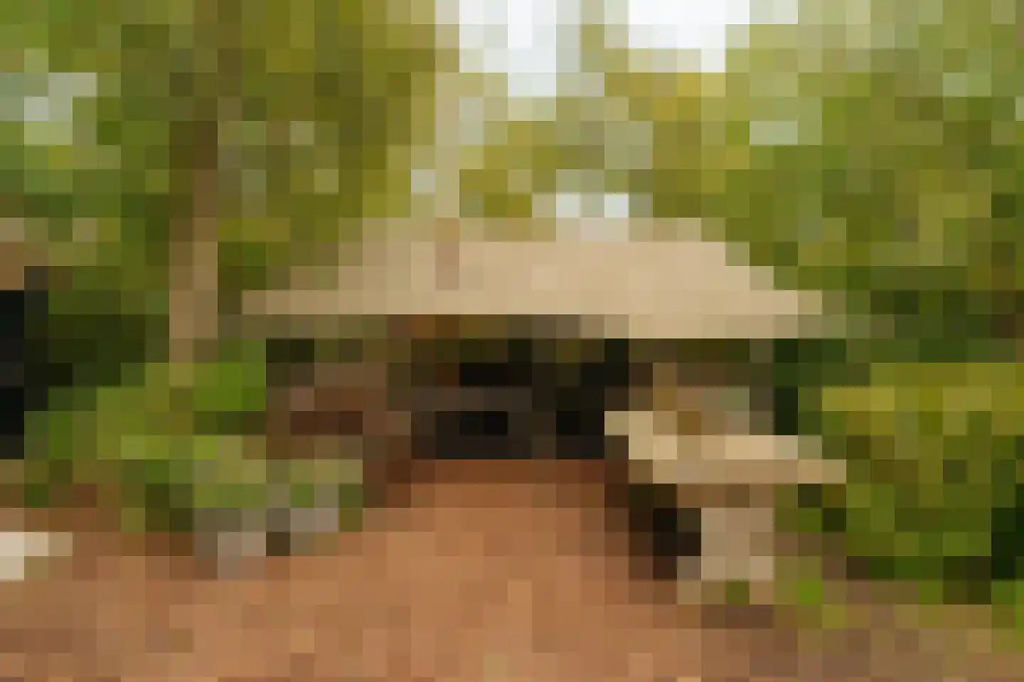 Uiterweg Aalsmeer thumbnail 7
