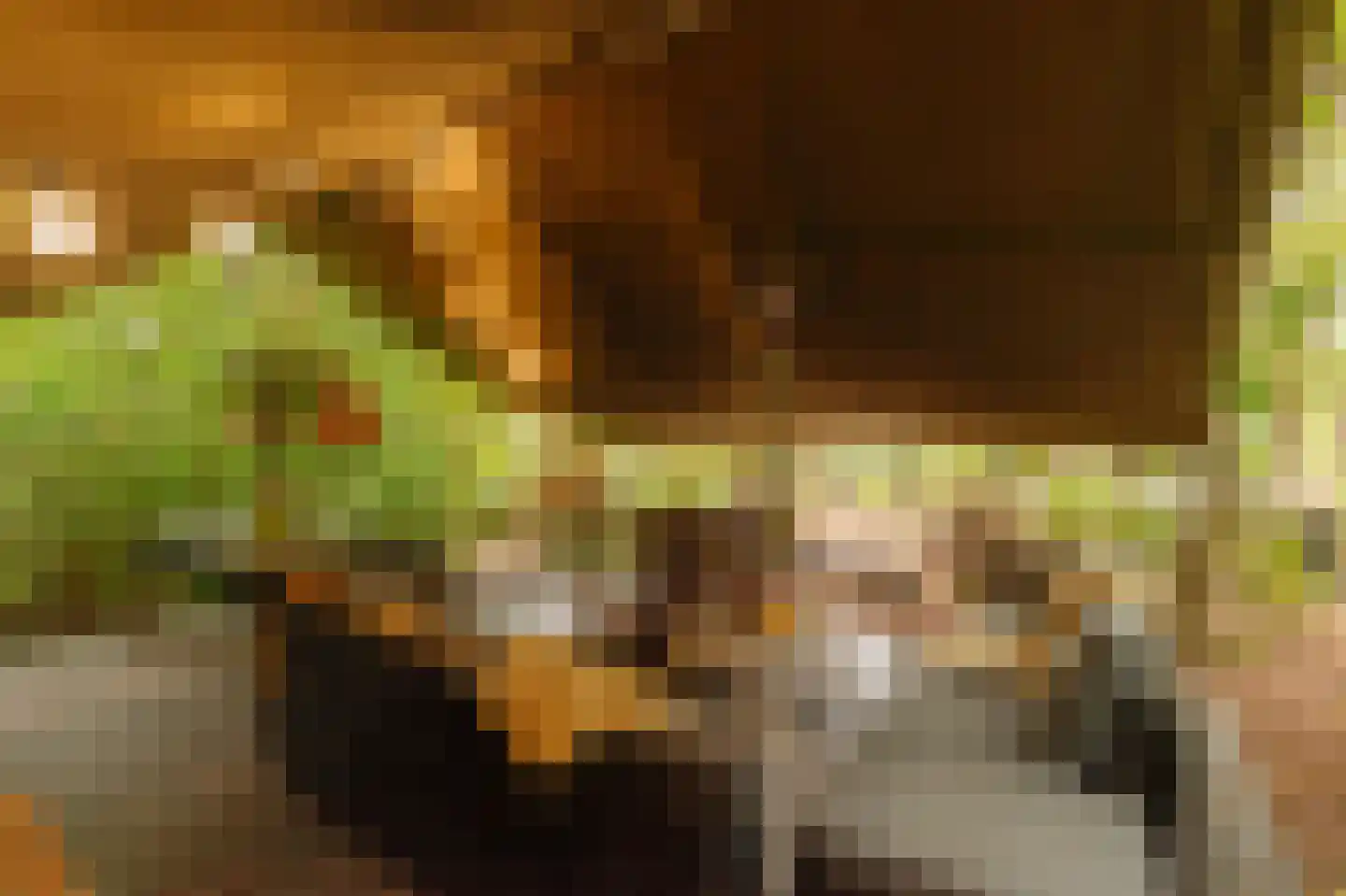 Uiterweg Aalsmeer thumbnail 8