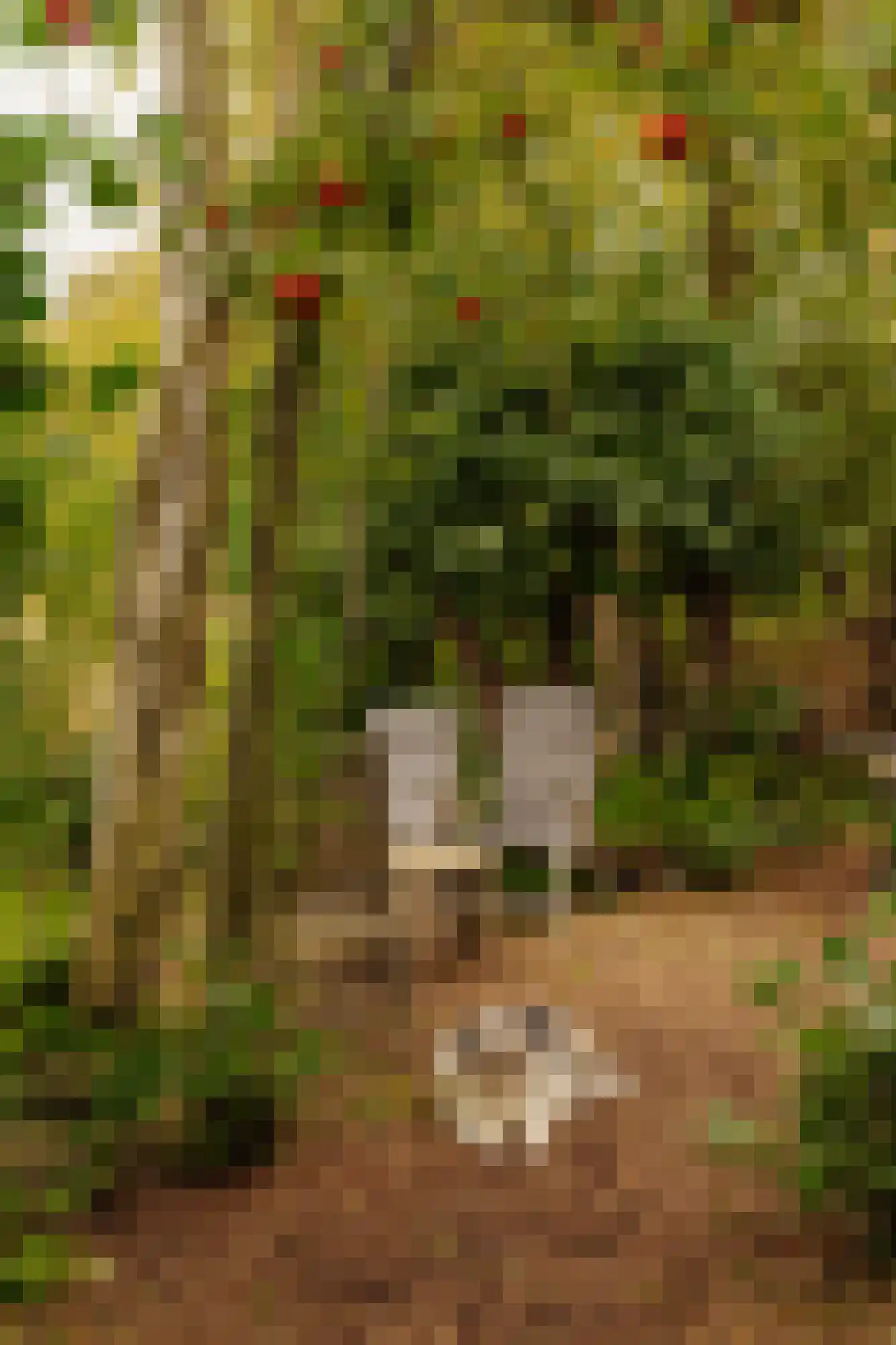 Uiterweg Aalsmeer thumbnail 9