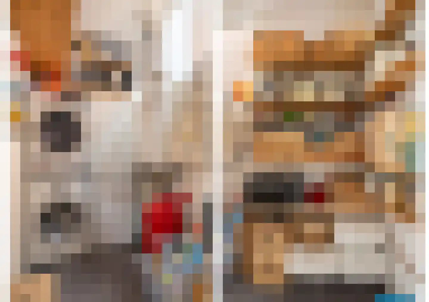 Uiterwijksteeg 2 Kampen thumbnail 15