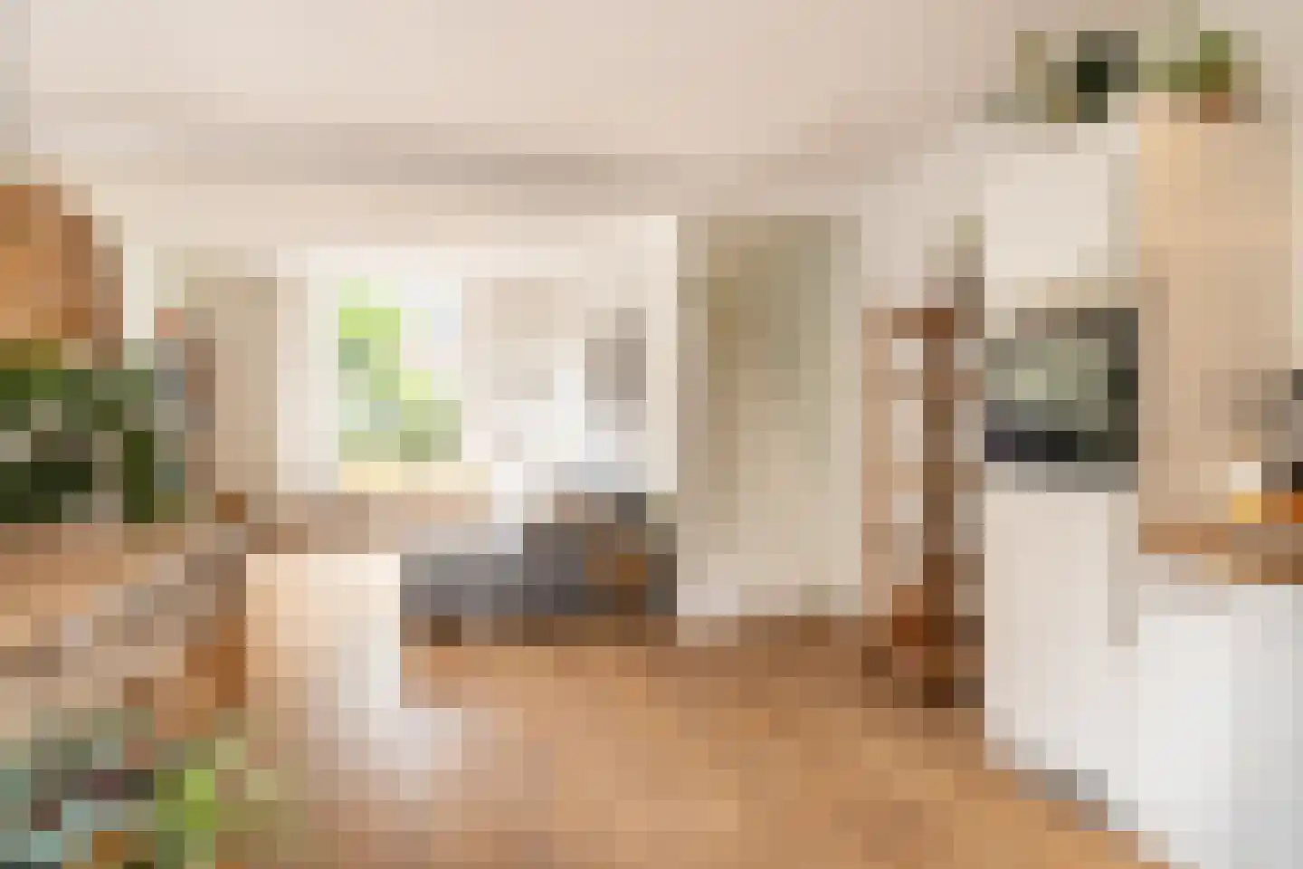 Uiterwijksteeg 2 Kampen thumbnail 16