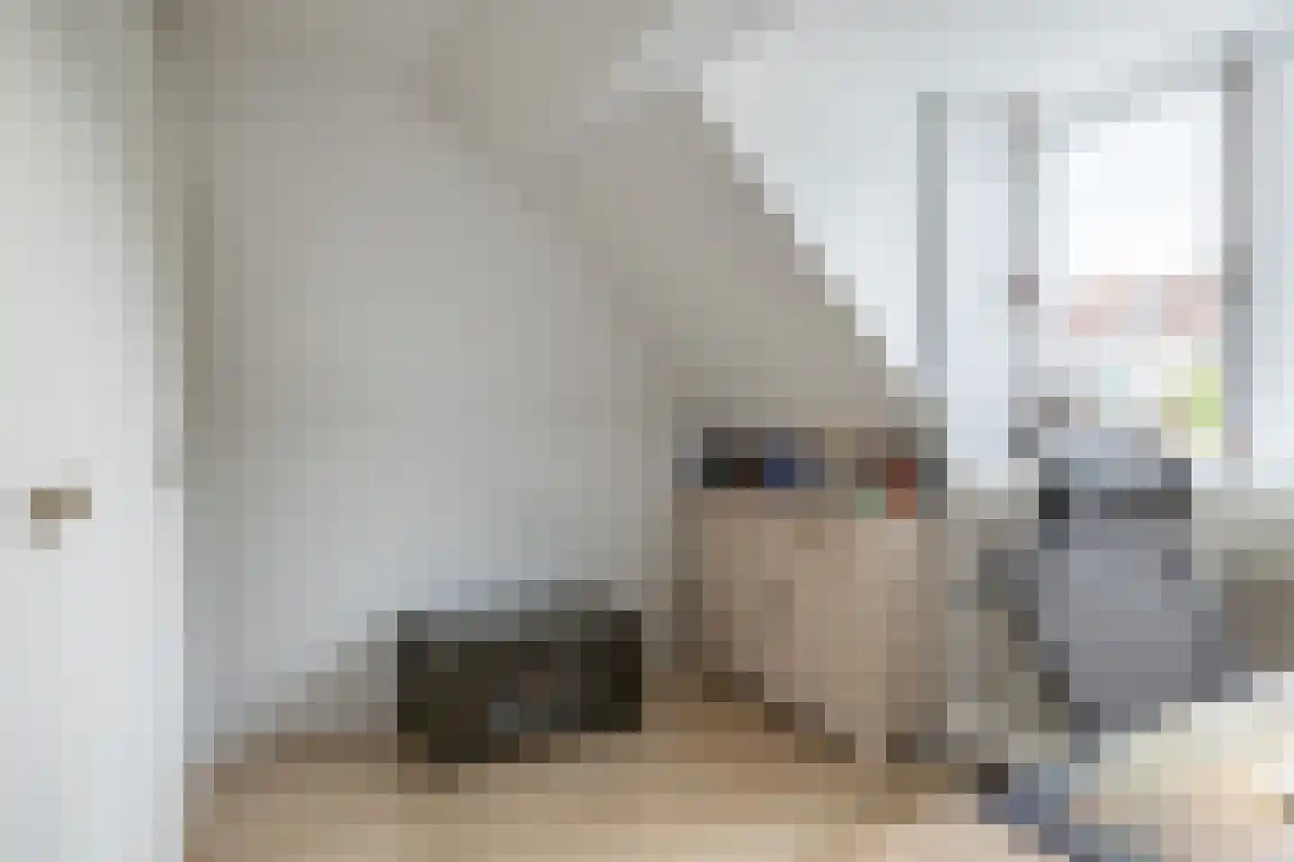 Uiterwijksteeg 2 Kampen thumbnail 25