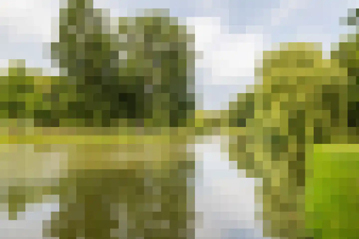 Uiterwijksteeg 2 Kampen thumbnail 38