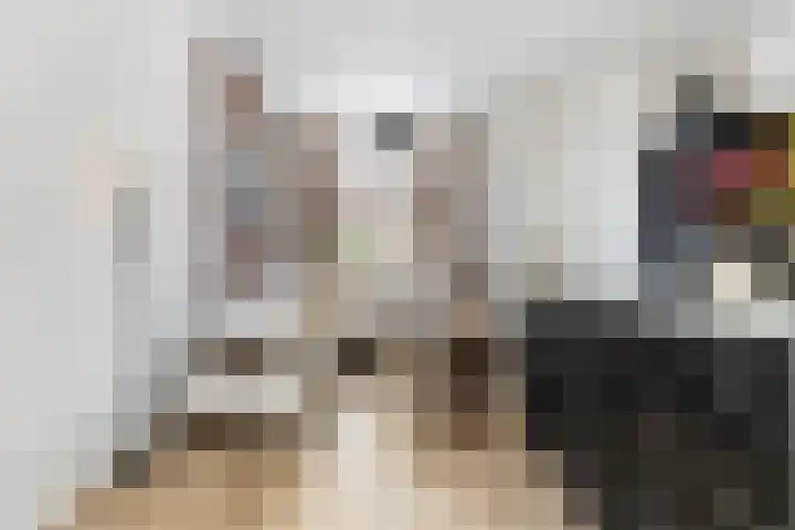 Uiterwijksteeg 5 Kampen thumbnail 10