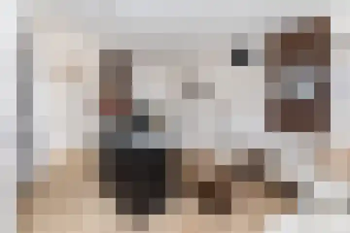 Uiterwijksteeg 5 Kampen thumbnail 11