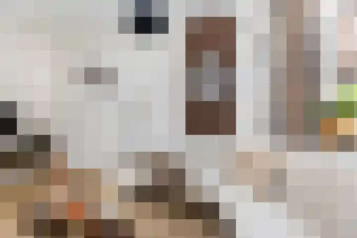 Uiterwijksteeg 5 Kampen thumbnail 12