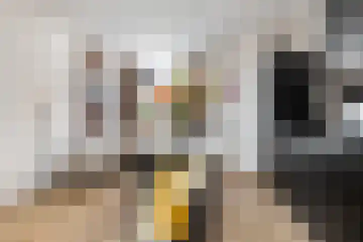 Uiterwijksteeg 5 Kampen thumbnail 14
