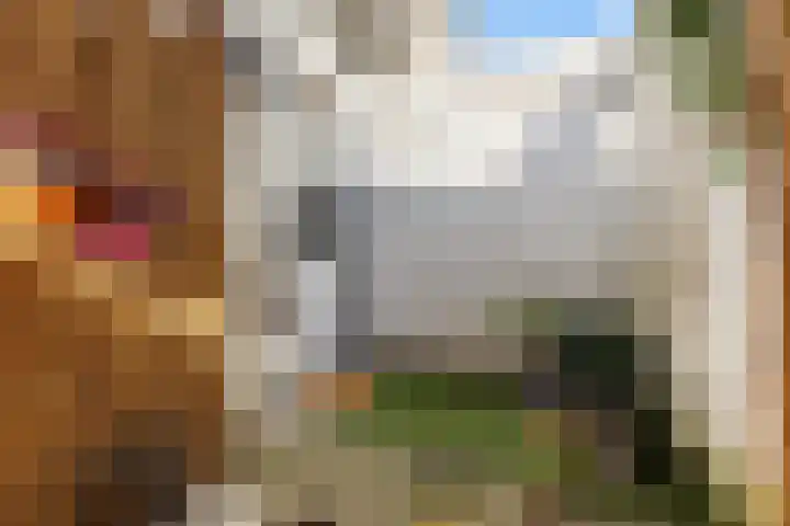 Uiterwijksteeg 5 Kampen thumbnail 20