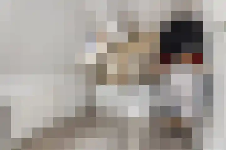 Uiterwijksteeg 5 Kampen thumbnail 24