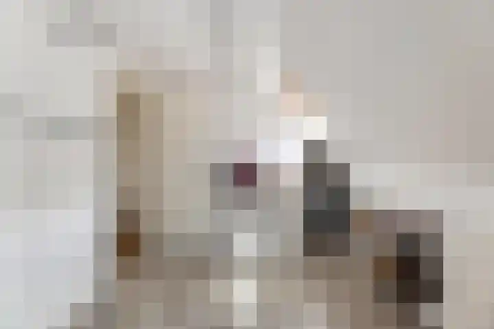 Uiterwijksteeg 5 Kampen thumbnail 25