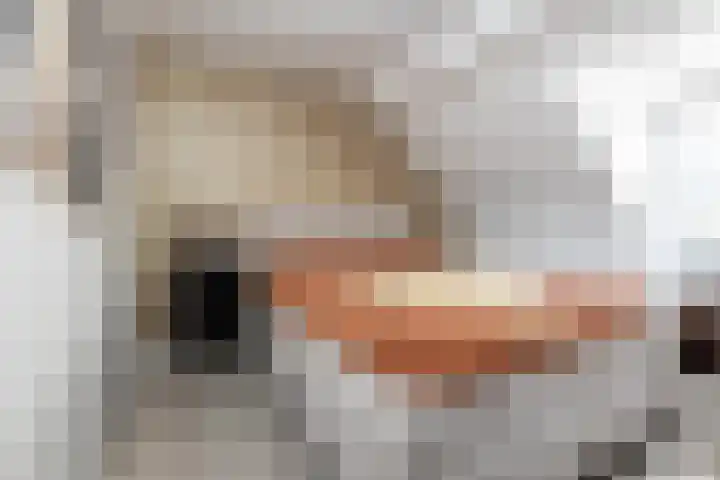Uiterwijksteeg 5 Kampen thumbnail 26