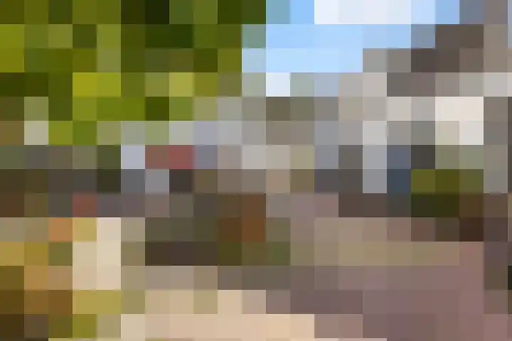Uiterwijksteeg 5 Kampen thumbnail 28