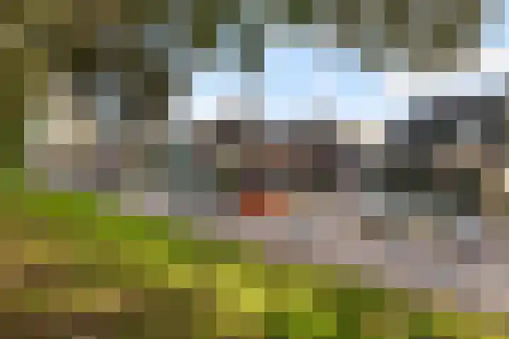 Uiterwijksteeg 5 Kampen thumbnail 29