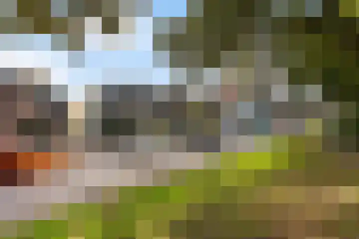 Uiterwijksteeg 5 Kampen thumbnail 30