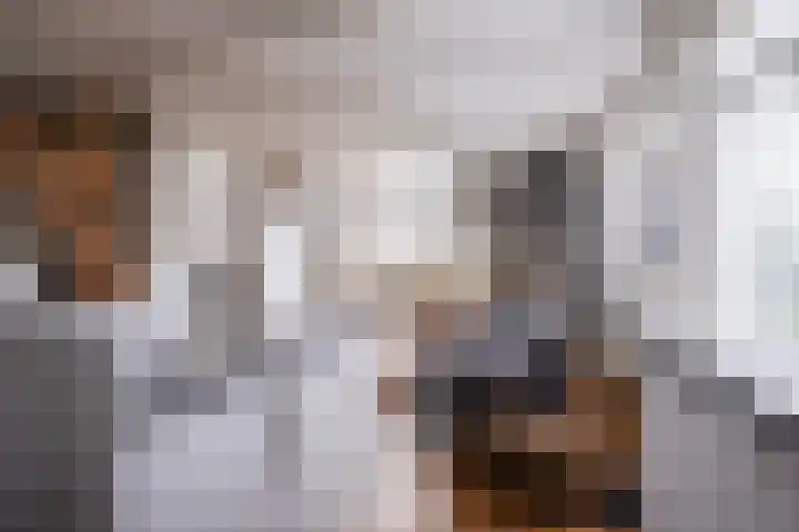 Uitgang 6 E Ursem thumbnail 12