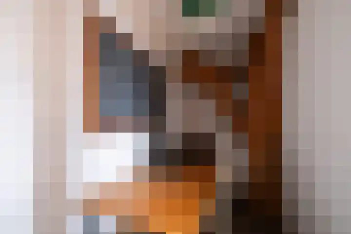 Uitgang 6 E Ursem thumbnail 22