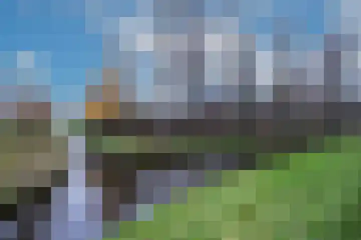Uitgang 6 E Ursem thumbnail 36
