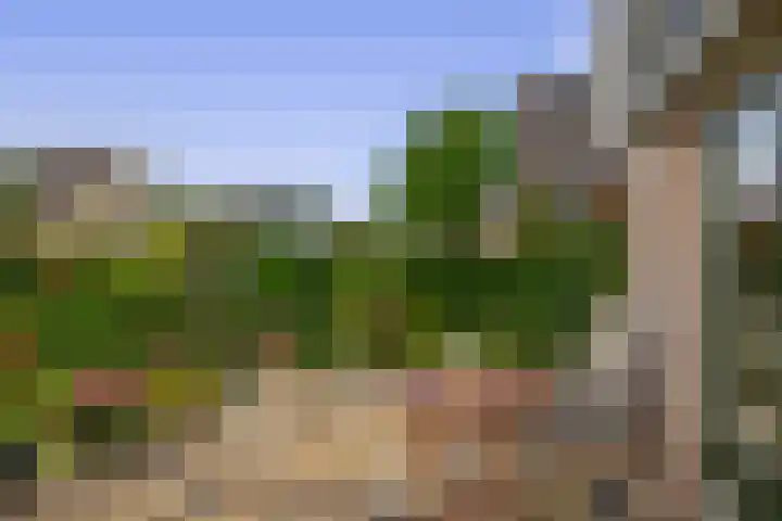 Uitgang 8 b Drachten thumbnail 35