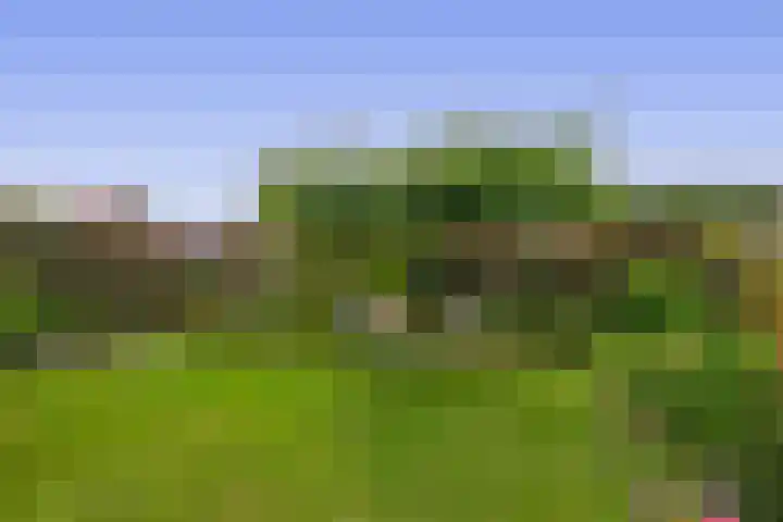 Uitgang 8 b Drachten thumbnail 36