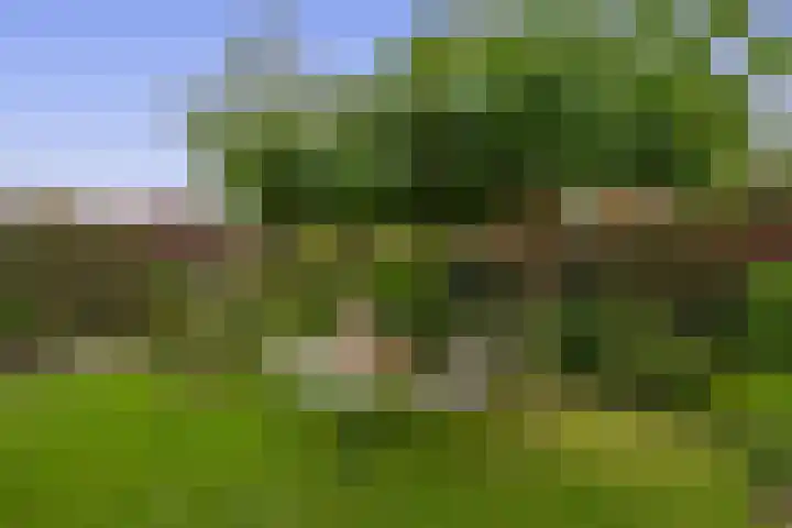 Uitgang 8 b Drachten thumbnail 37