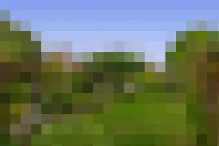 Uitgang 8 b Drachten thumbnail 38