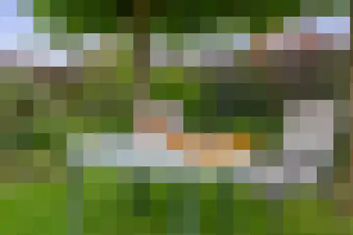 Uitgang 8 b Drachten thumbnail 39