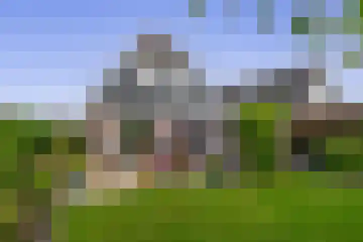 Uitgang 8 b Drachten thumbnail 4