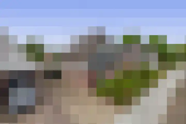 Uitgang 8 b Drachten thumbnail 42