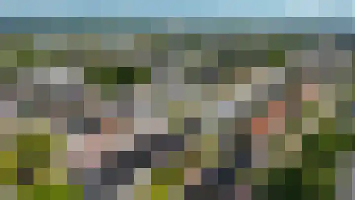 Uitgang 8 b Drachten thumbnail 46
