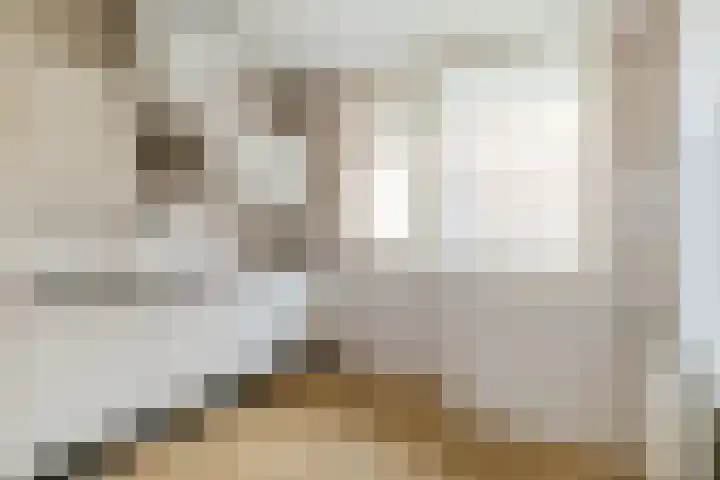 Uitgeeststraat 15 Den Haag thumbnail 15