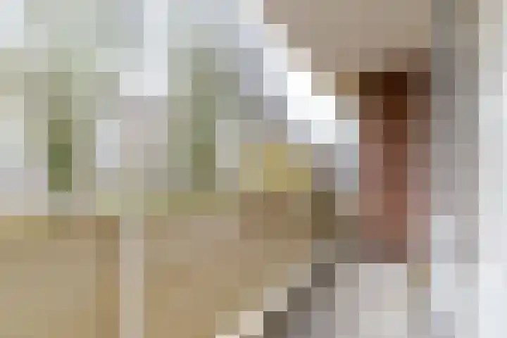 Uitgeeststraat 15 Den Haag thumbnail 9
