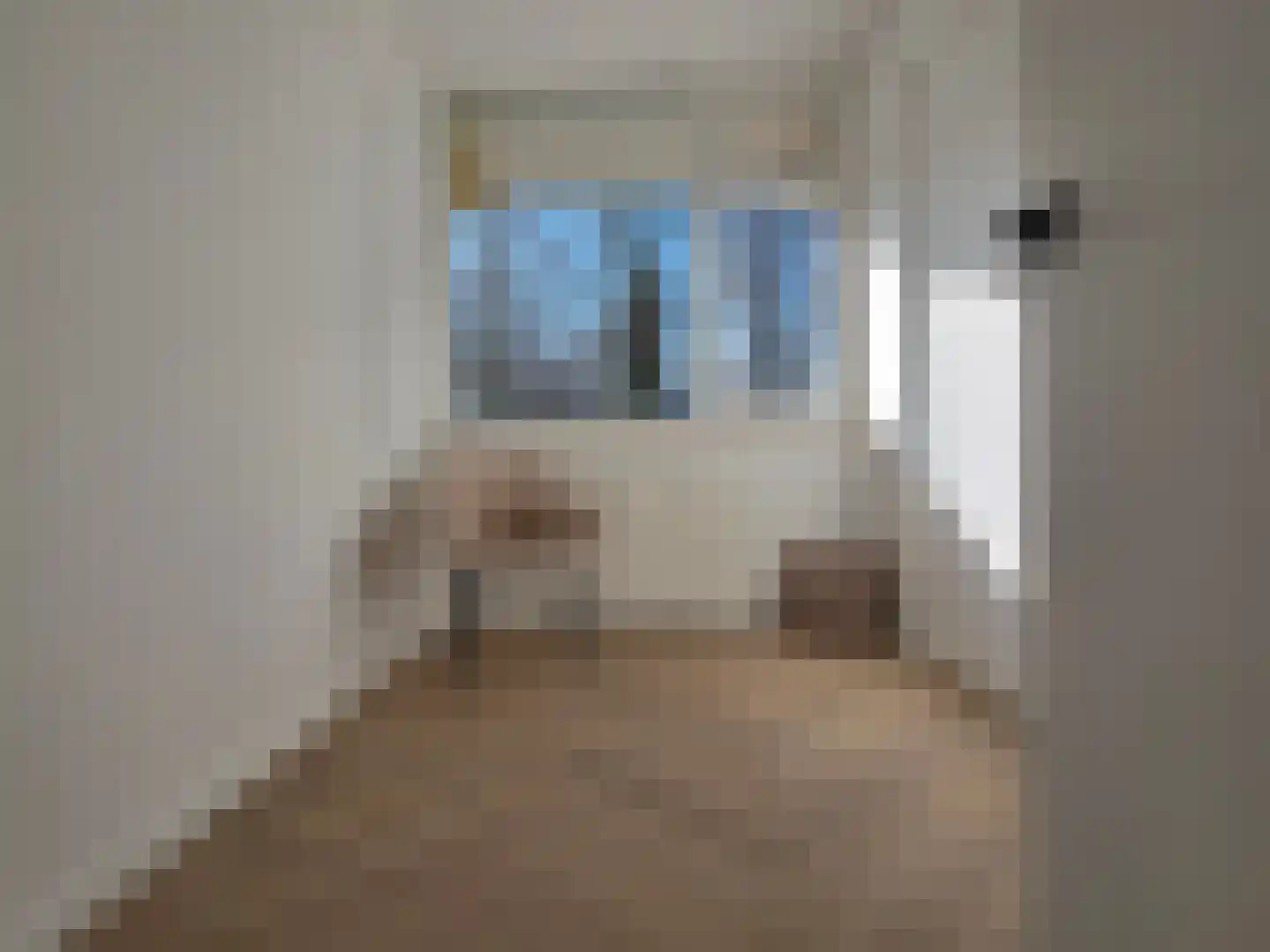 Uitgeeststraat 18 Den Haag thumbnail 14