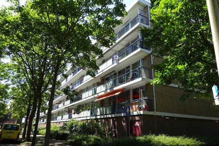 Uitgeeststraat 183 in 's-Gravenhage foto