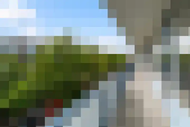 Uitgeeststraat 189 Den Haag thumbnail 19