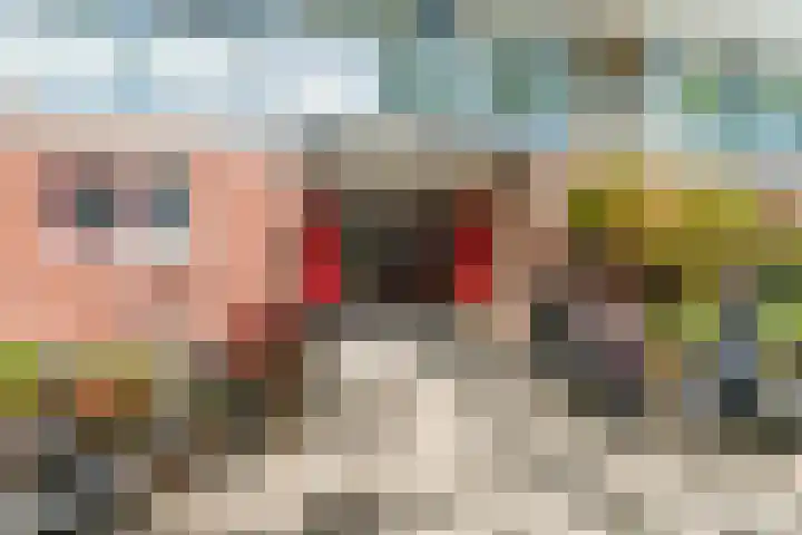Uitgeeststraat 189 Den Haag thumbnail 21