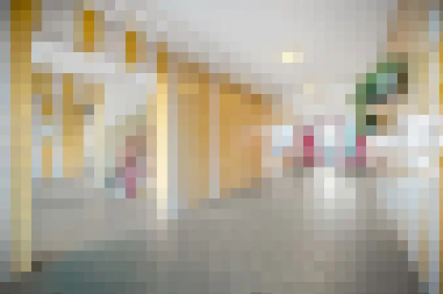 Uitgeeststraat 203 Den Haag thumbnail 6