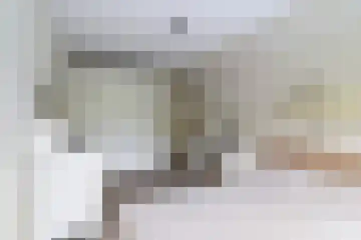 Uitgeeststraat 44 Den Haag thumbnail 10