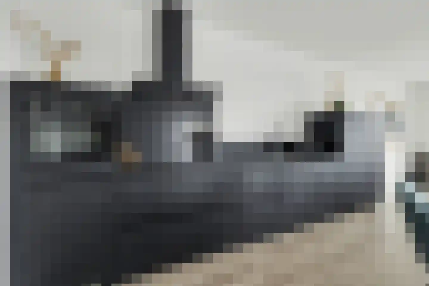Uithaven 1 m Kamperland thumbnail 18