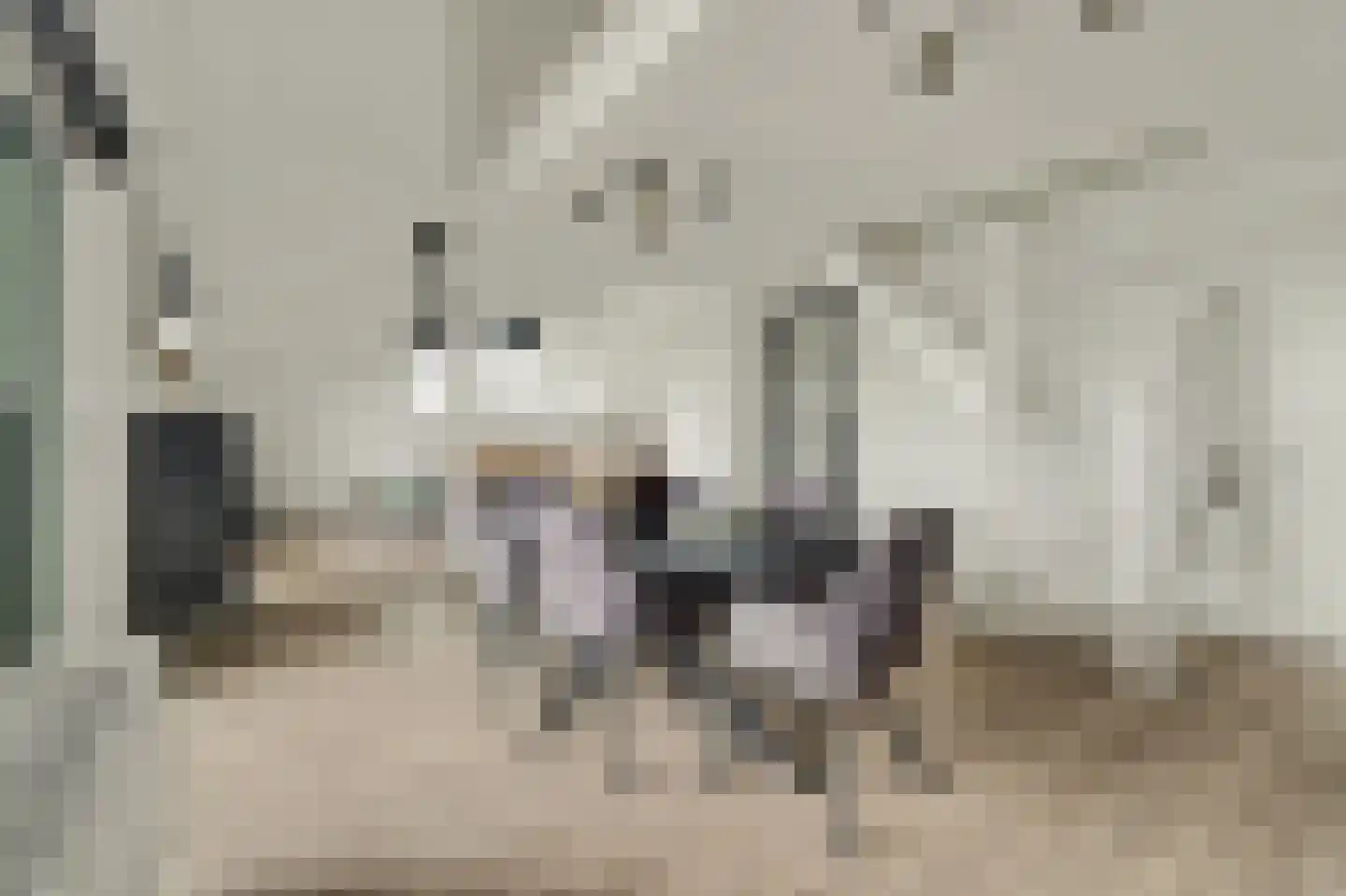 Uithaven 2 g Kamperland thumbnail 10