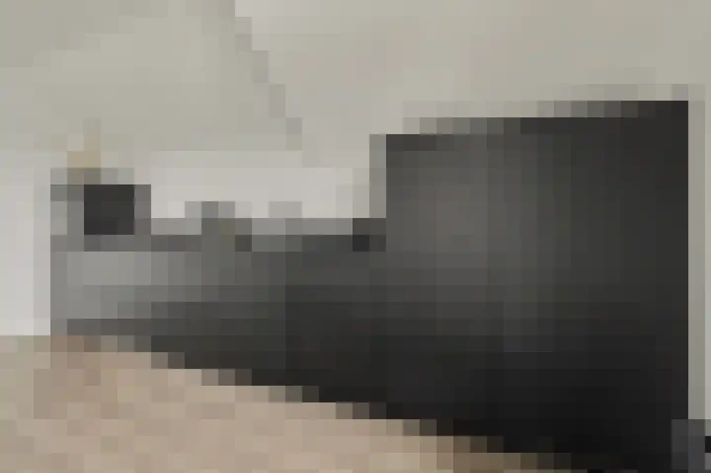 Uithaven 2 g Kamperland thumbnail 12