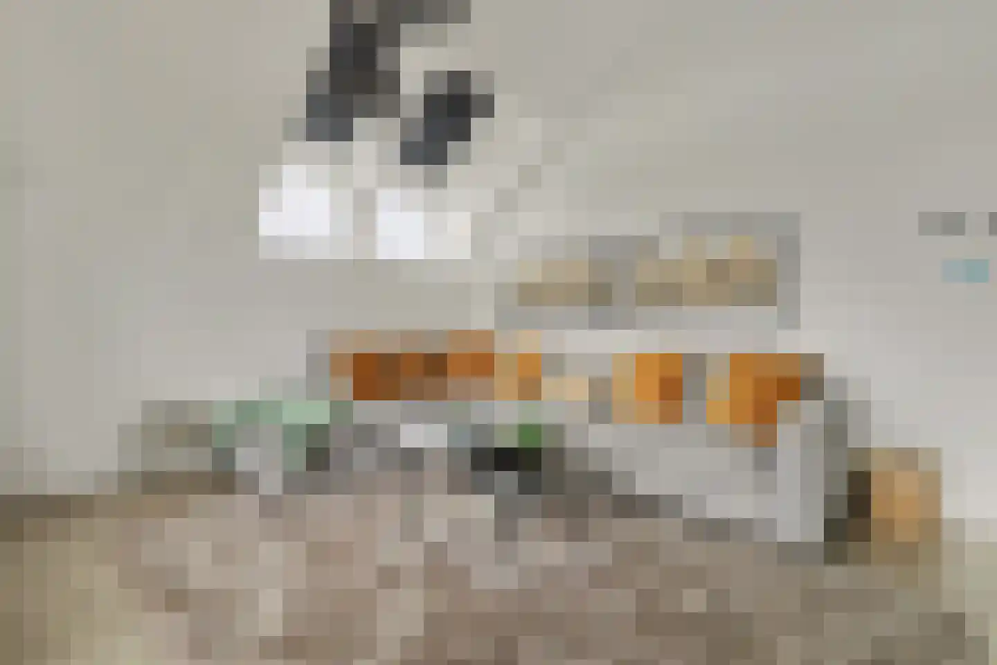 Uithaven 2 g Kamperland thumbnail 5