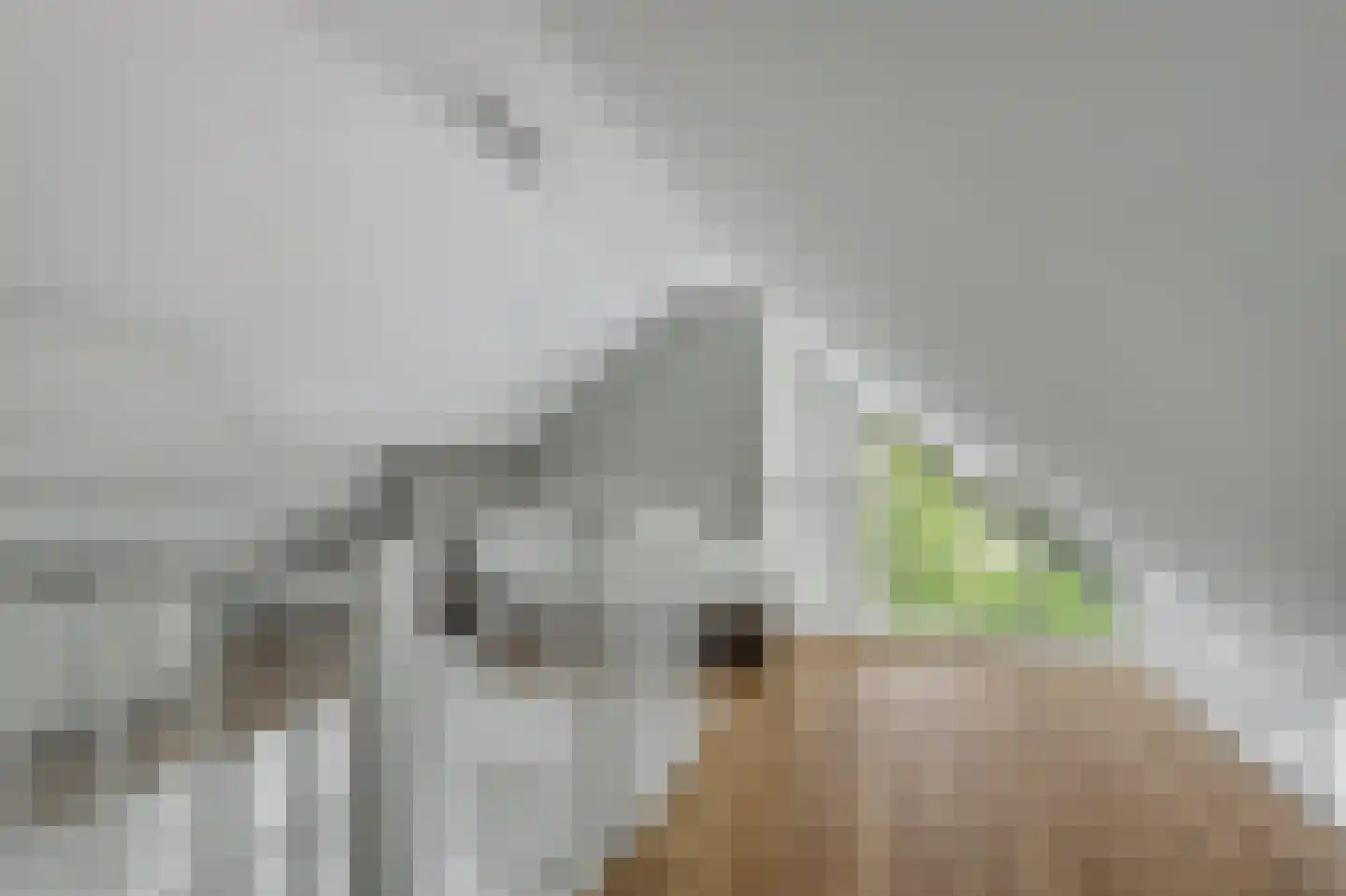 Uithaven 2 i Kamperland thumbnail 22
