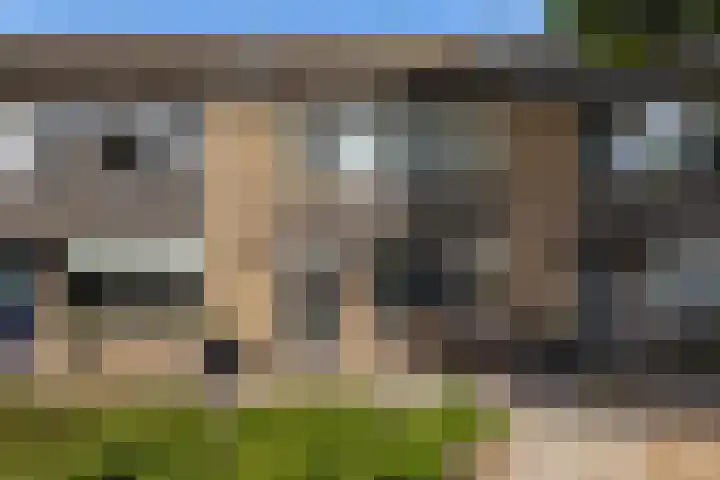 Uithof 112 Schoonebeek thumbnail 11