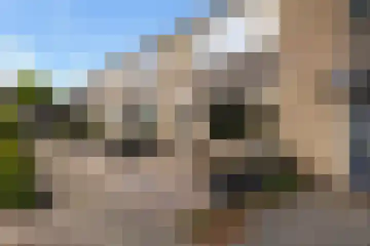 Uithof 112 Schoonebeek thumbnail 12