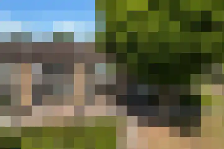 Uithof 112 Schoonebeek thumbnail 13